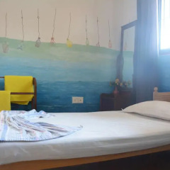 Отель Olive Tree Guest House Стандартный номер с различными типами кроватей фото 11