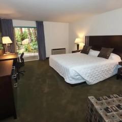 Отель Lemon Tree Inn 3* Стандартный номер с различными типами кроватей фото 6