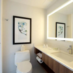 Отель Hilton Garden Inn New York/Central Park South-Midtown West 3* Стандартный номер с двуспальной кроватью фото 12