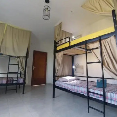 Green Garden Hostel комната для гостей фото 5