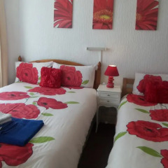 Ardsley Hotel комната для гостей фото 5