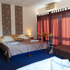 Hotel Papillon 3* Стандартный номер с различными типами кроватей