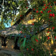 Отель Tiger Mountain Pokhara Lodge Непал, Лехнат - отзывы, цены и фото номеров - забронировать отель Tiger Mountain Pokhara Lodge онлайн приотельная территория фото 2