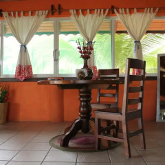Отель Bungalows Tree Tops Мексика, Коакоюл - отзывы, цены и фото номеров - забронировать отель Bungalows Tree Tops онлайн интерьер отеля