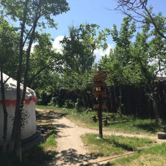 Отель Turkestan Yurt Camp Кыргызстан, Каракол - отзывы, цены и фото номеров - забронировать отель Turkestan Yurt Camp онлайн фото 5