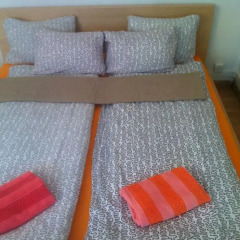 Апартаменты Garden Studio Apartment Zürichberg комната для гостей фото 2