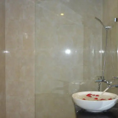 Отель Hoian Succulent Homestay 2* Номер Делюкс с различными типами кроватей фото 23