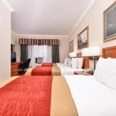Heritage Hotel New York City 2* Стандартный номер с различными типами кроватей фото 4