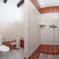 Penzion Hotel Morrison Пльзень ванная