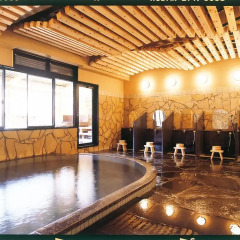 Отель Ryokan Seoto Yuoto No Yado Ukiha Хита спа