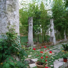 Отель Campurra Дизо фото 3