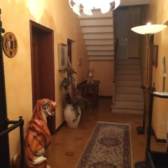 Отель Bed & Breakfast Don Carlos Италия, Сан-Мартино-ди-Лупари - отзывы, цены и фото номеров - забронировать отель Bed & Breakfast Don Carlos онлайн спа