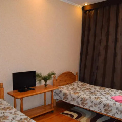 Гостиница Guest house Snezhniy Bars удобства в номере