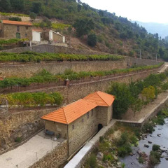 Отель Quinta De Reciao Ламего приотельная территория