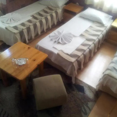 Shans 2 Hostel Стандартный номер с различными типами кроватей фото 3