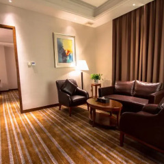 Delin Hotel Шэньчжэнь комната для гостей фото 5