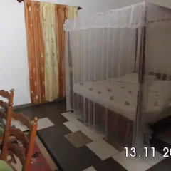Отель Roshini Inn комната для гостей фото 4