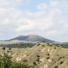 Отель Agriturismo La Collinetta Нова-Сири фото 4