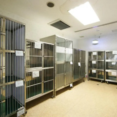 Hotel Listel Inawashiro Wing Tower Айдзувакамацу спортивное сооружение