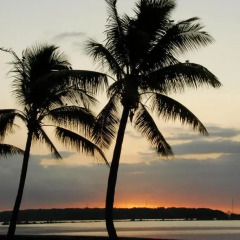 Отель Tanoa Waterfront Hotel Фиджи, Вити-Леву - отзывы, цены и фото номеров - забронировать отель Tanoa Waterfront Hotel онлайн пляж фото 2