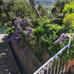 Отель Villa Silvio 3* Люкс фото 4
