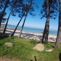 Hotel y Apartamentos Bosque Mar пляж