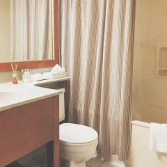 Отель Greenbrier Hotel Канада, Ванкувер - отзывы, цены и фото номеров - забронировать отель Greenbrier Hotel онлайн ванная фото 2