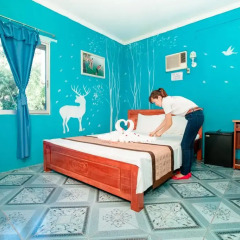 Halong Party Hostel Стандартный номер с различными типами кроватей фото 5