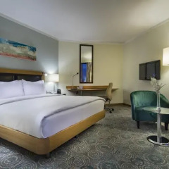 Mersin HiltonSA Турция, Мерсин - отзывы, цены и фото номеров - забронировать отель Mersin HiltonSA онлайн комната для гостей фото 5