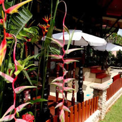 Отель Ao Nang Home Stay бассейн