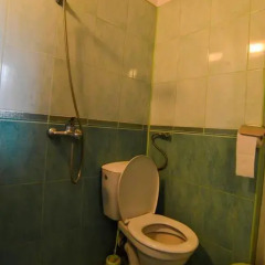 Отель Topuzovi Guest House ванная
