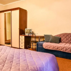 Nevskij Ryad-Pushkinskaya Mini-Hotel Стандартный номер фото 5
