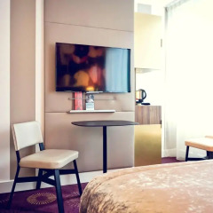 Отель Mercure Lyon Centre Plaza République 4* Стандартный номер с различными типами кроватей