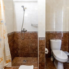 Mini-Hotel Tri Art Стандартный номер с различными типами кроватей фото 14