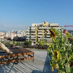 Hostel Albania бассейн