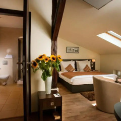 Отель Spatz Aparthotel 3* Стандартный номер с двуспальной кроватью фото 4