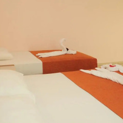 Aral Hotel Side комната для гостей фото 6