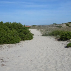 Отель Peniche Blue Wave Home пляж