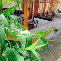 Отель The Summer Corridor - Kataragama