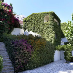 Sunshine Hotel And Spa 4* Бунгало фото 2