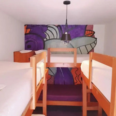 Blue Pepper Hostel Chapultepec Кровать в женском общем номере