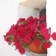 Отель I Trulli Di Nonno Giovanni Альберобелло фото 13