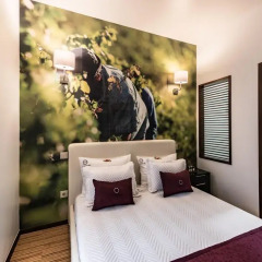 Отель Lounge Inn комната для гостей фото 2