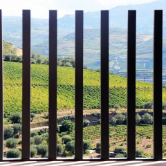Отель Quinta da Pitarrela Португалия, Пезу-да-Регуа - отзывы, цены и фото номеров - забронировать отель Quinta da Pitarrela онлайн фото 7