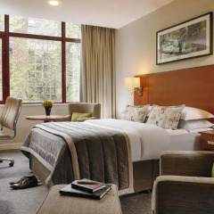 Mespil Hotel 4* Представительский номер с различными типами кроватей фото 2