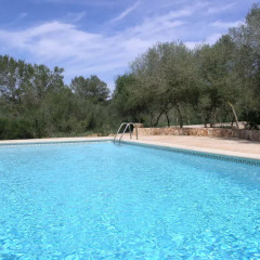 Отель Finca Son Josep de Baix бассейн