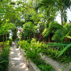 Отель Ko Tao Resort - Beach Zone 3* Номер Делюкс с различными типами кроватей фото 9