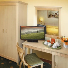 Grand Hotel Plaza & Locanda Maggiore 4* Стандартный номер с различными типами кроватей фото 2