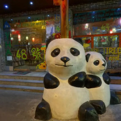 Chengdu No.48 International Youth Hostel интерьер отеля