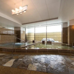 Gifu Grand Hotel бассейн фото 2